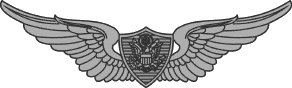 Air Crew Badge