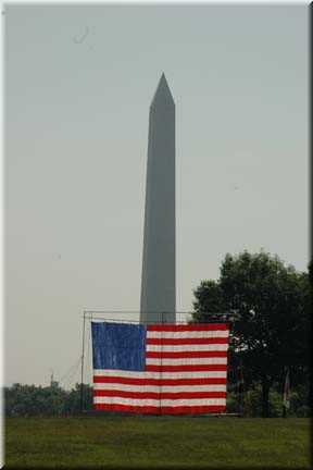 DSC_0084.jpg