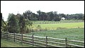 DSC01958.JPG