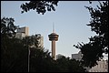 DSC_0175.JPG