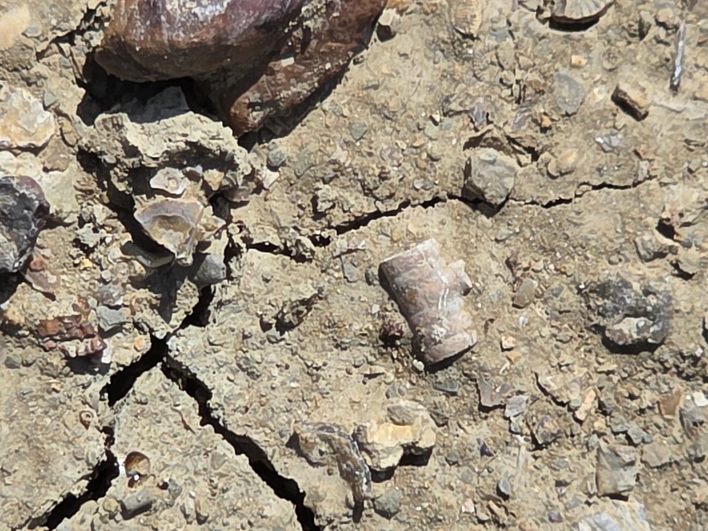 20260413_121401.jpg