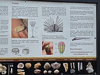 20260413_115656.jpg