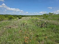 20260413_121507.jpg