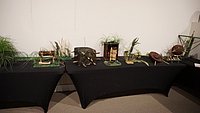 DSC00284.JPG
