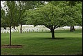 DSC00728.JPG