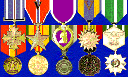 dsc, dfc, bs, ph, am-v, arcom, ndsm, vnsm, vnsm, 3 vn awards