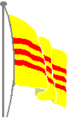 RVN flag