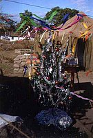 xmastree_jpg.jpg