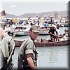IMG_100.jpg