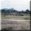 IMG_115.jpg