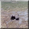 IMG_117.jpg
