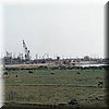 IMG_137.jpg