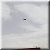 IMG_234.jpg