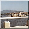 IMG_257.jpg