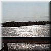 IMG_273.jpg