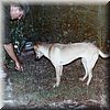 IMG_311.jpg