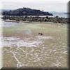 IMG_322.jpg