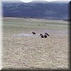 IMG_323.jpg