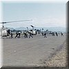 IMG_330.jpg
