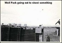 wm197032_jpg.jpg