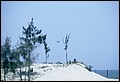 659601-R1-E006.jpg