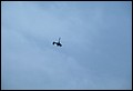 531245-R1-E013.jpg