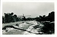 IMG_017.jpg