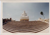 IMG_019.jpg