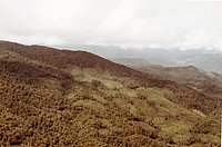 IMG_073.jpg