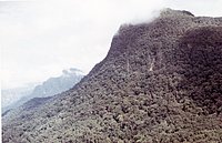 IMG_075.jpg