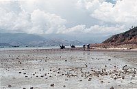IMG_112.jpg