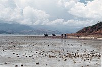 IMG_113.jpg