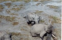 IMG_114.jpg