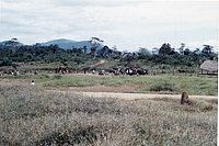 IMG_115.jpg