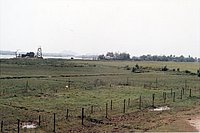 IMG_135.jpg
