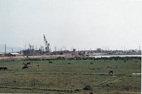 IMG_137.jpg