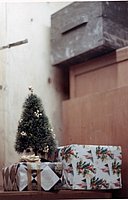 IMG_175.jpg
