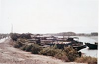 IMG_186.jpg