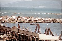 IMG_191.jpg