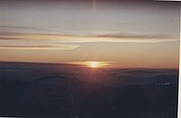 IMG_195.jpg