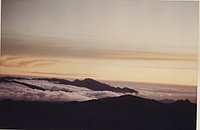 IMG_196.jpg