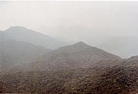 IMG_211.jpg