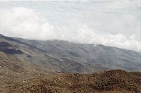 IMG_223.jpg