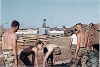 IMG_237.jpg