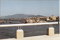 IMG_257.jpg