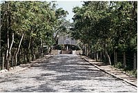 IMG_258.jpg