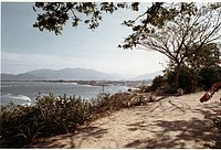 IMG_260.jpg