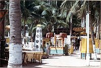 IMG_272.jpg