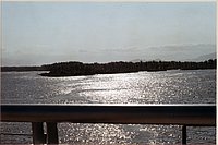 IMG_273.jpg