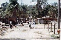 IMG_276.jpg
